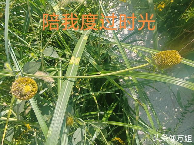 两性交往，要想刺激女人的荷尔蒙，只需记住这6点，绝对让她动心