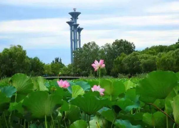 吃喝玩乐住一篇搞定！演唱会终极指南来了