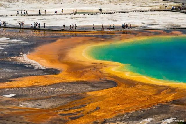 禁不住，这都第几个热搜了