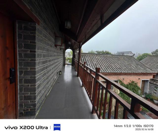 合肥蜀山区半日行：雨中粉黛花、小岭南文化赋能、科大硅谷