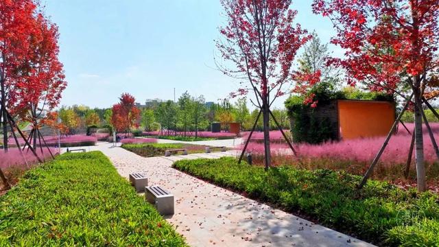 晋城的初冬，是最好的拍照滤镜