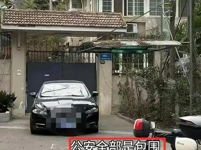 徐湖平夫妻被带走！红二代身份曝光	，一家三口精密布局盗宝