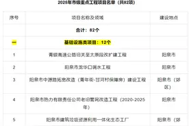 82个项目！阳泉公布2025年市级重点项目名单图片