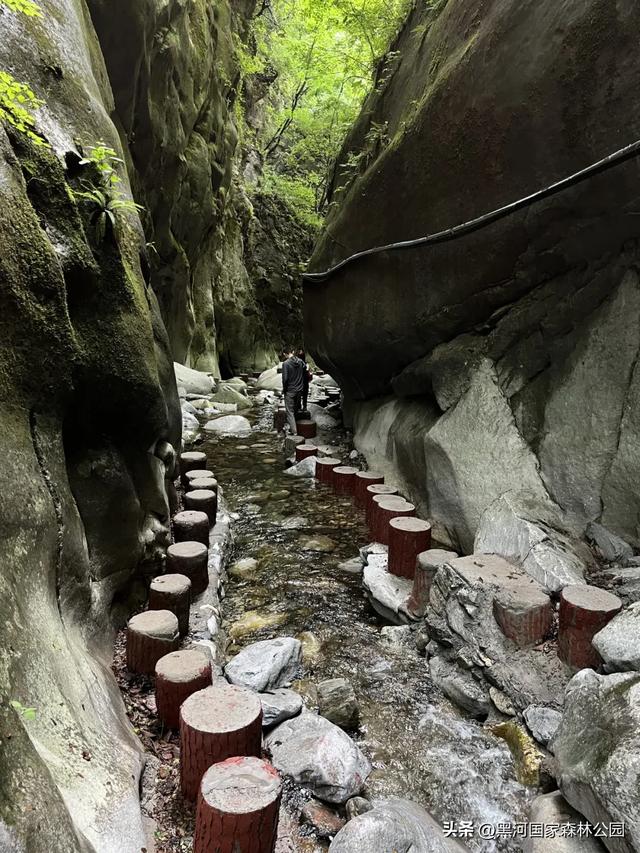 西安人的夏日消暑指南,黑河的清凉山水比空调更治愈→