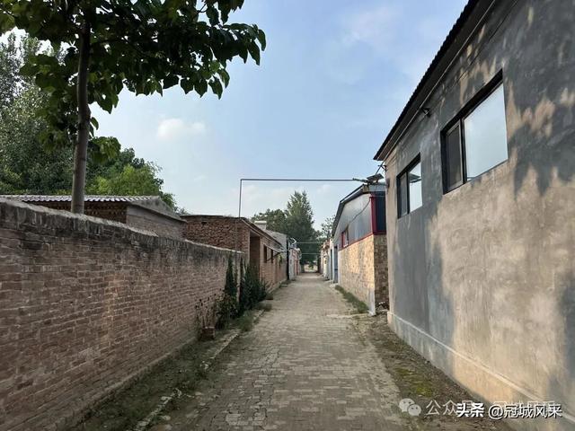 冠县乡韵·辛集镇崔刘八寨
