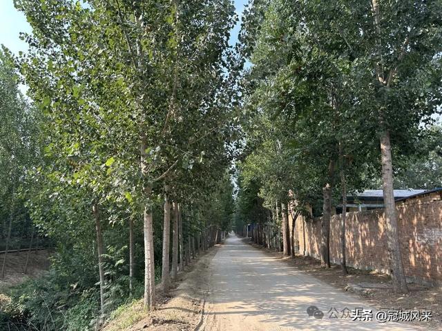冠县乡韵·辛集镇丁刘八寨