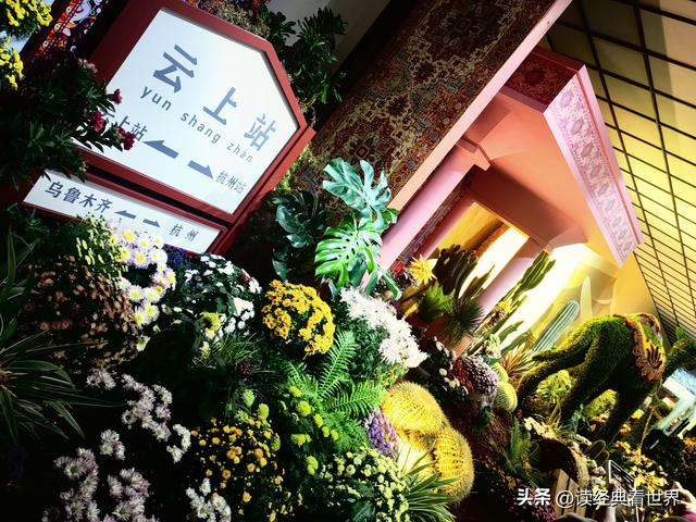 杭州植物园的菊花展——一场关于菊花的饕餮盛宴（二）