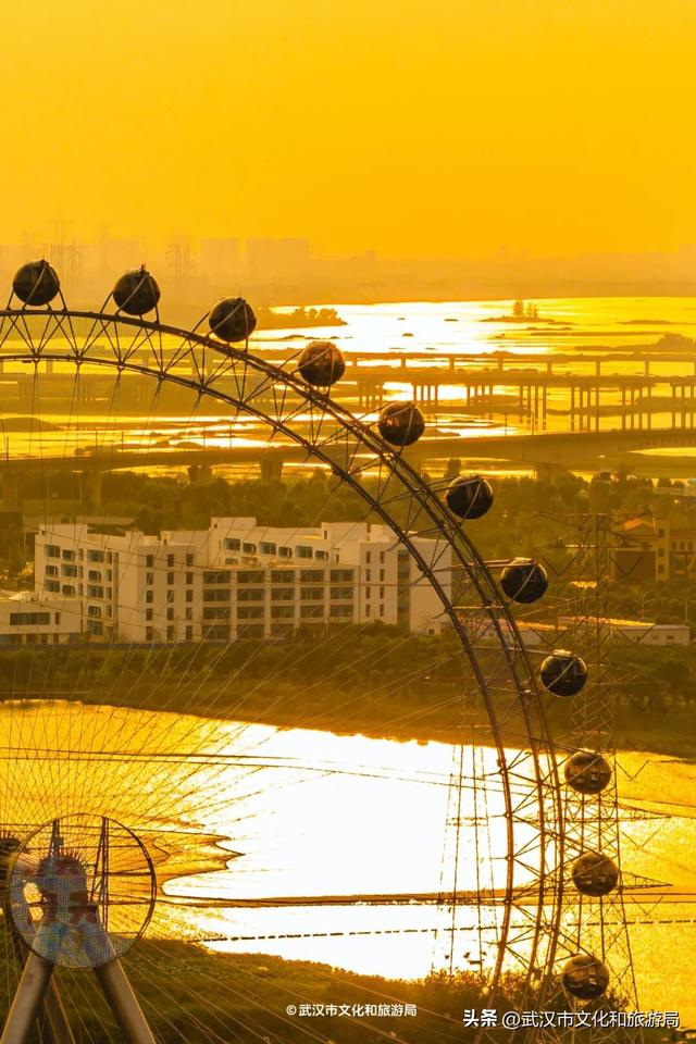 马上过节，免票！