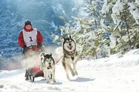 -71℃极寒呼吸如刀割！便秘成酷刑 为何死守人间炼狱？图片