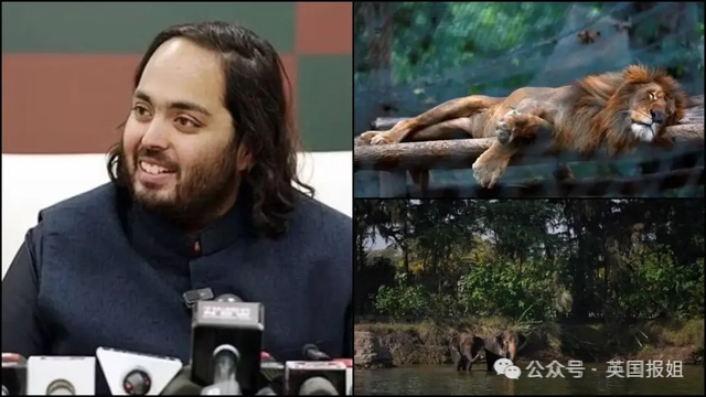 亚洲首富小儿媳和大伯哥曝炸裂丑闻？多次含情脉脉牵手摸腰