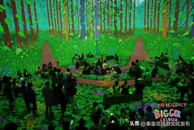 阿那亚十一海边游玩指南｜舞蹈节、雀跃镇大师赛、狗狗聚会、艺术展览，邂逅理想假日