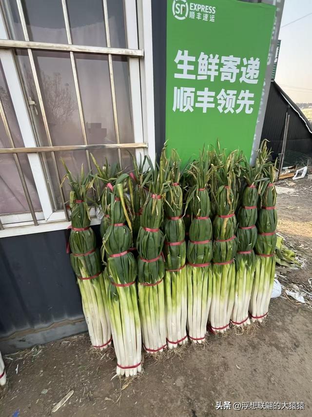 石斑鸠村，一座大山深处有着古老历史和众多红色革命故事的小山村