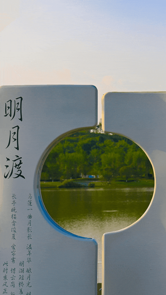看！中秋在重庆遇见“团团圆圆”