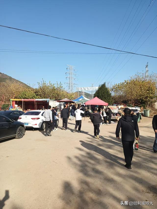 怒征西山公园，立在539.8米的顶峰