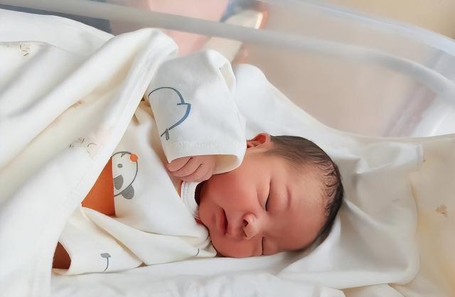 全国出生人口断崖：21年1062万人，24年954万，25年令人意想不到