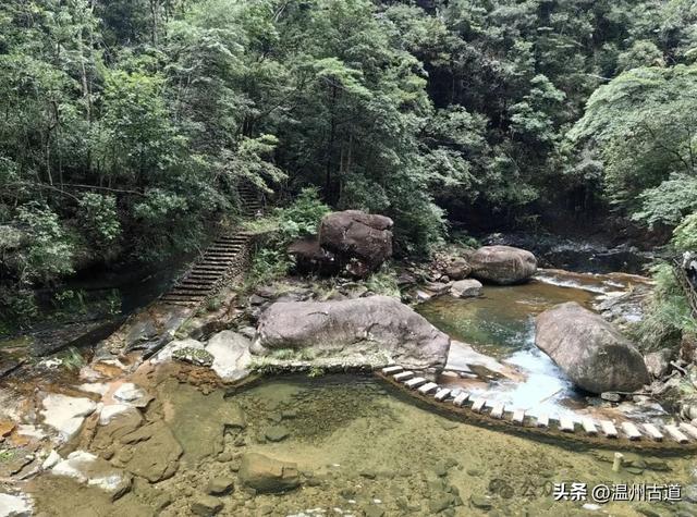 温州这个以畲族始祖命名的4A级景区，秘藏着一座“生物王国”！