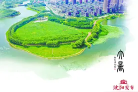 【发现沈阳·大暑】一川灵秀蒲水 百里水韵长廊图片