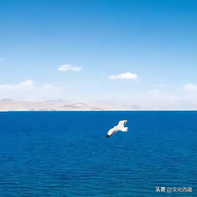 藏不住了！西藏新增14个国家4A级景区，你认识几个？