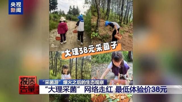 对野蛮“采菌热”说“不”！安全不是儿戏！生态不容践踏！