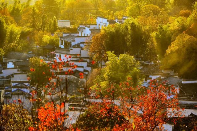11月-12月，淡季旅行适合去的5个目的地，人少清净，秋景斑斓