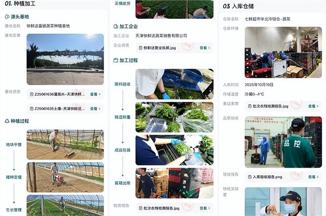 京东七鲜11.11行业首推“24小时菜” 全程溯源保障极致新鲜“看得见”