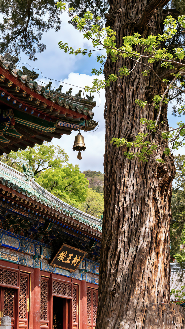 《金陵一对. 联连中国》上联: 潭柘气吞太行脉飘幽州；