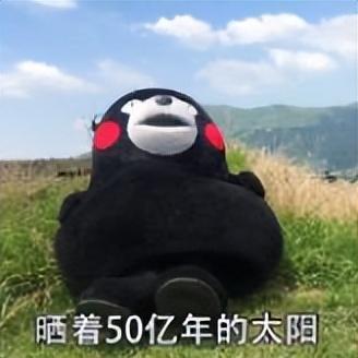 地铁直达！免费！成都20个绝美赏秋地，银杏水杉梧桐红枫限时上演！就在家门口！