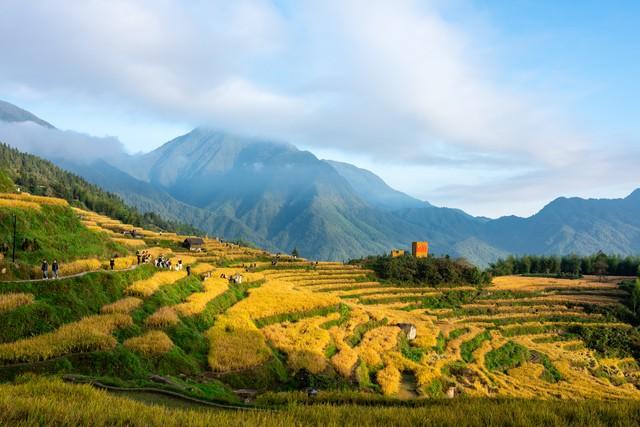 这才是江南秋天的天花板！浙江5大红叶秘境，带你走进古典水彩画