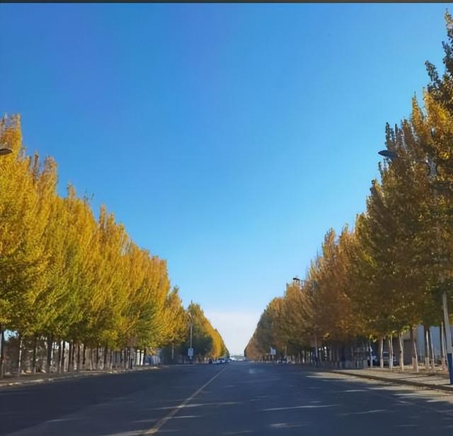火红、金黄、湛蓝……内蒙古的秋天，究竟是什么颜色的?