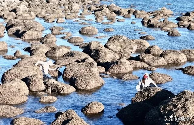 不是济州岛!湛江硇洲岛才是中国海岛度假的“性价比天花板”