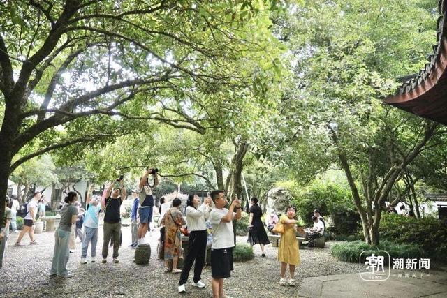 全杭州的人都出动了？这是今天的西湖、灵隐寺、满觉陇！部分道路禁止车辆通行