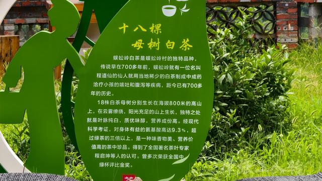 皖浙摩旅二人转——蜈蚣岭篇（下）