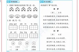 天天练2年级第四单元，期末复习必备，抓住期末尾巴，查漏补缺图片
