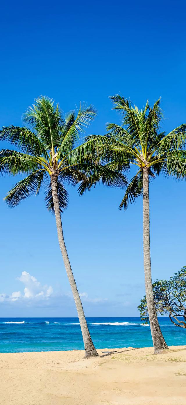 手机壁纸|海边的自然风景