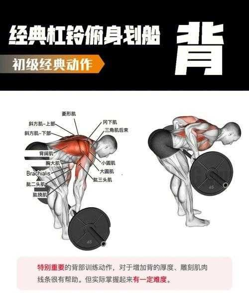 怎么锻炼全身，每一块肌肉，练个遍，又不累？