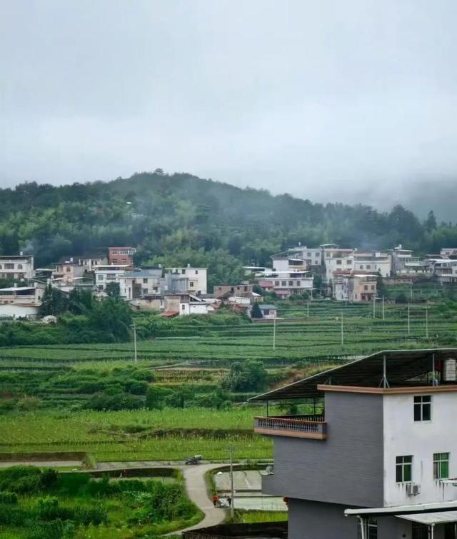 【山海协作】在森林里，治愈所有城市疲惫