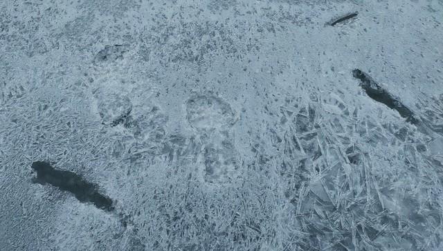 今年三九不一般，“三九在冬，单衣过冬”，今冬冷不冷？早了解