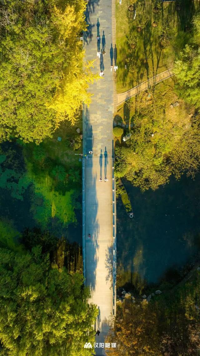 汉阳的秋天也太会了，“捡秋”比赏秋更上瘾