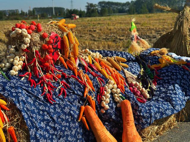 好“丰”景上线！平阳稻田里也有草垛“瑞士卷”