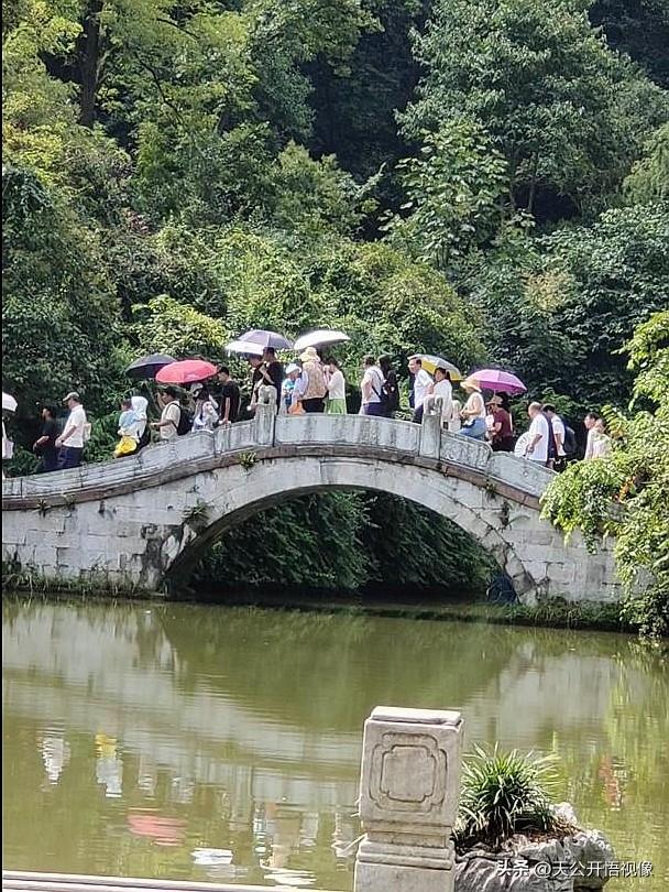 贵阳人与避暑客，贵阳黔灵山公园里的热闹与体谅