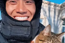 登上热搜！网红小猫“悟空”去世，警方回应图片