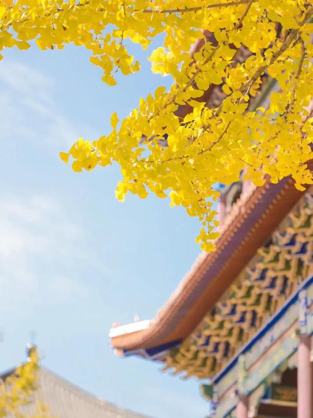 从街角到古村，一键解锁贵阳的秋日浪漫