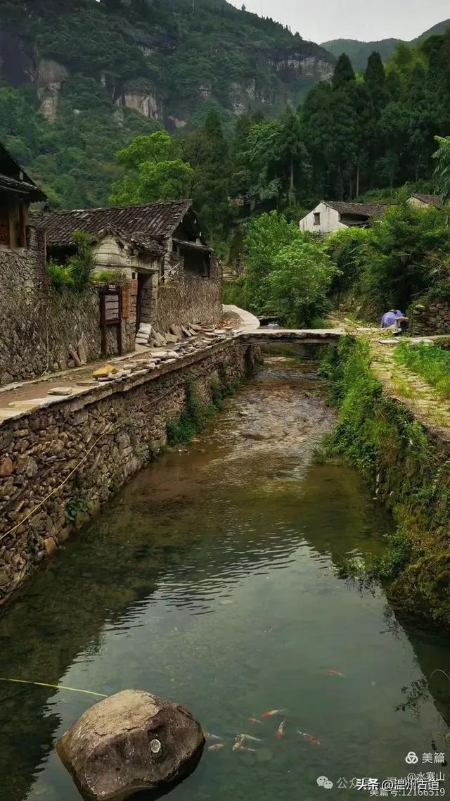 这座温州最具桃源的古村，避暑佳地，你可去过？