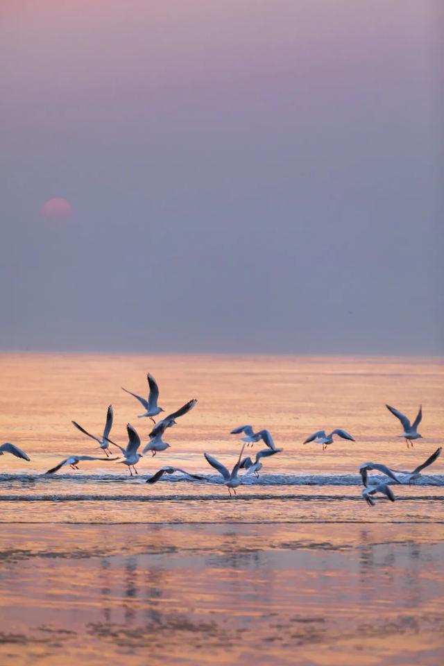 康养旅游，为何选日照？