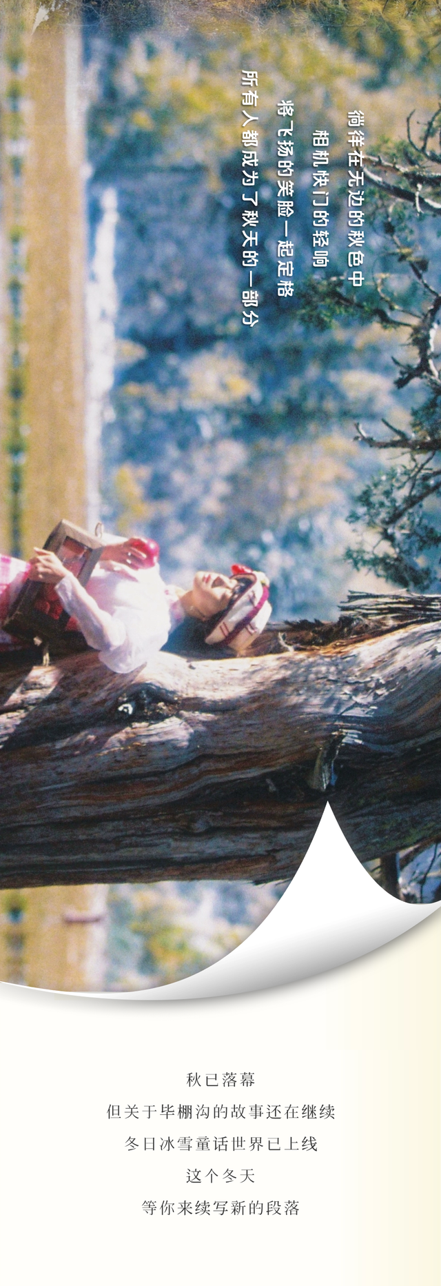 拍了拍毕棚沟的秋天：你的色彩已存档！