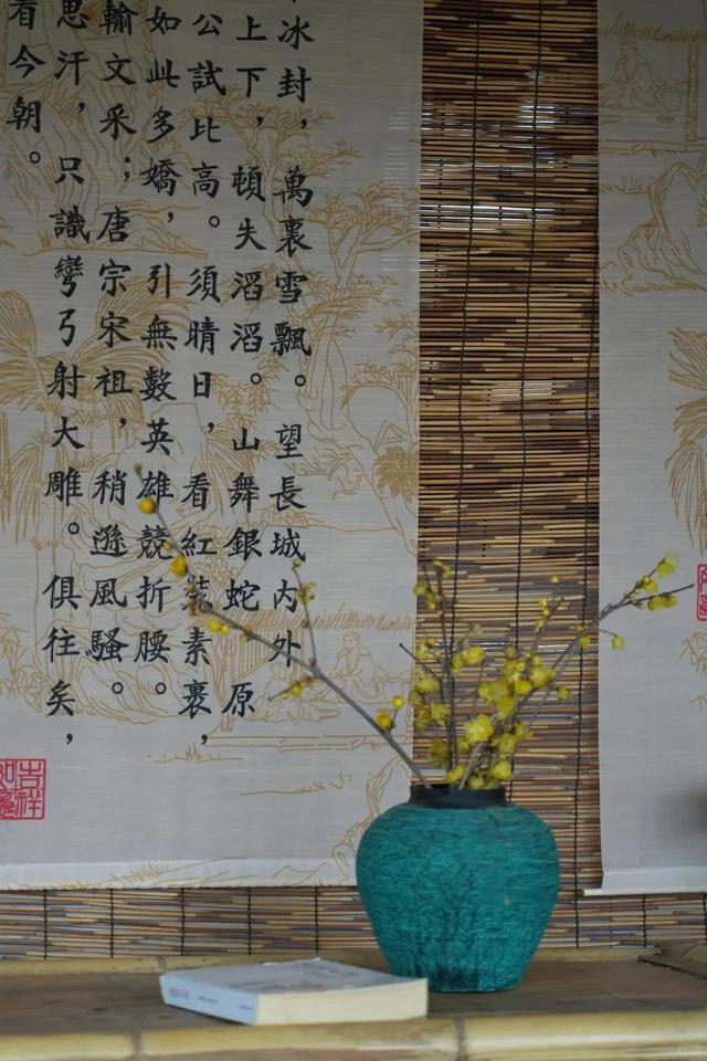 寒风再烈、冬日再冷，蜡梅照样艳压全场！