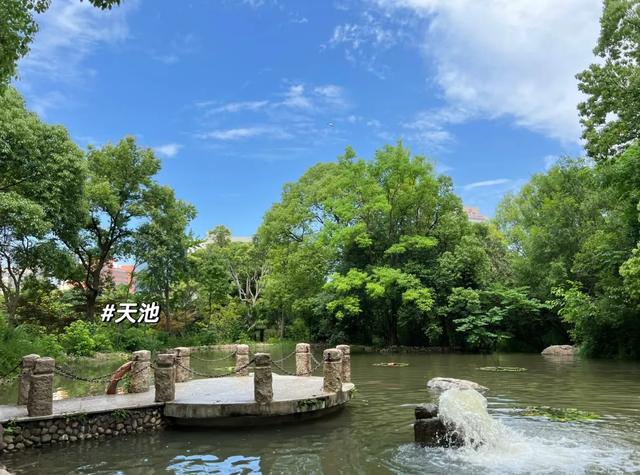 上海藏得太深了！市中心10亿打造的公园，免费开放！