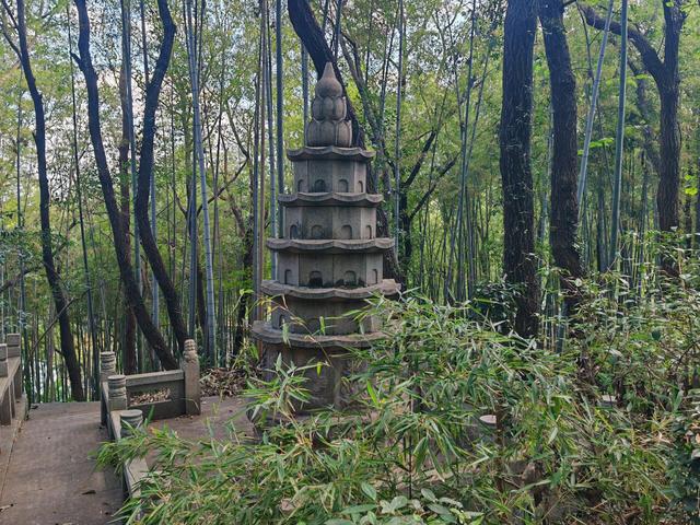 这座我去了又去的江南小城，魅力实在太大了