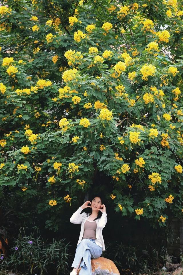 秋意浓，花开正艳！这周末，来东莞万江赏花秋游吧！