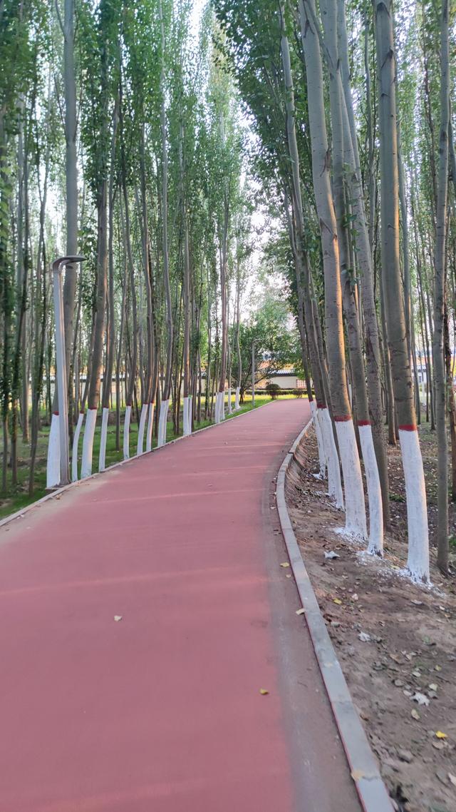 包头公园行（阿尔丁植物园、赛罕塔拉城中草原、奥林匹克公园）